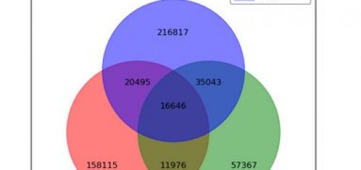 Los indignados y la evolución del 15M – ISpanish Indignados and the evolution of 15M – I
