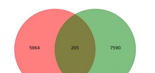 El discurso del rey 2013 vs. 2012