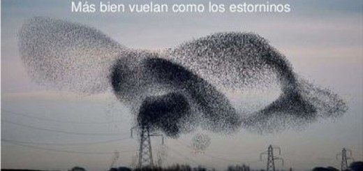 Datatrinos: extrayendo datos de los trinos de TwitterDatatweets