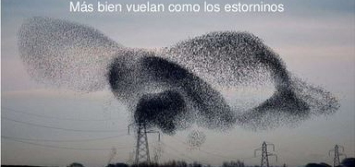 Datatrinos: extrayendo datos de los trinos de TwitterDatatweets